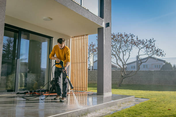 Best Roof Washing  in Plano, IL
